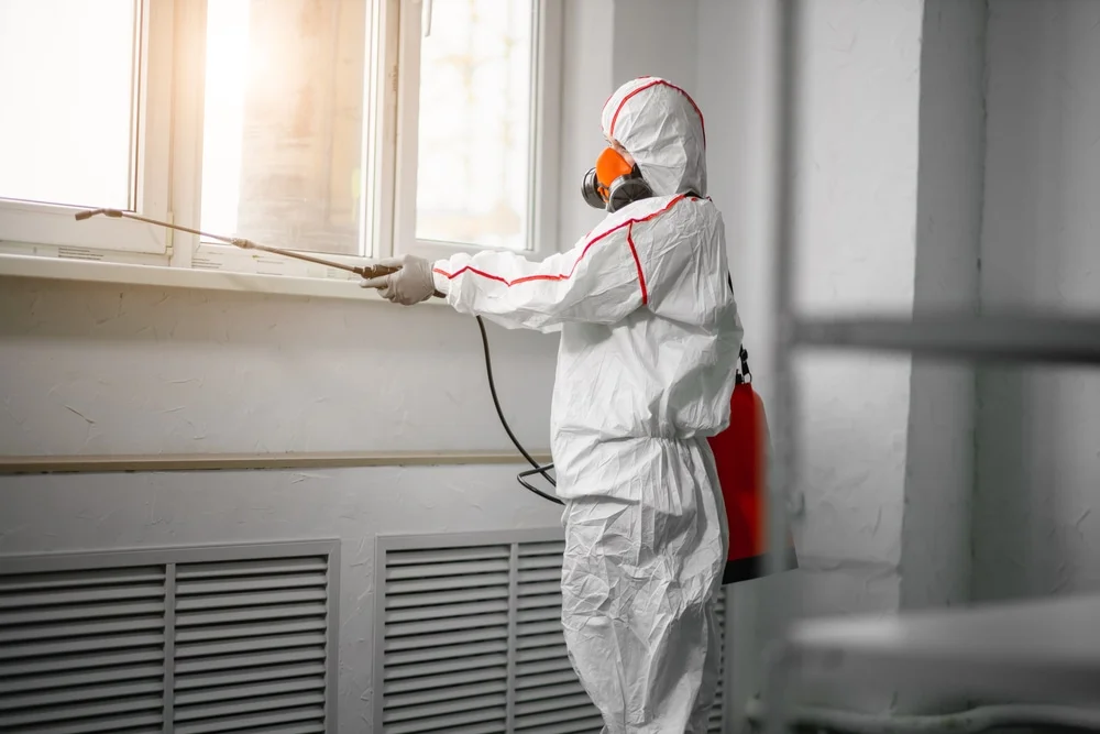 Professional mold remediation services in Walnut Grove, MS